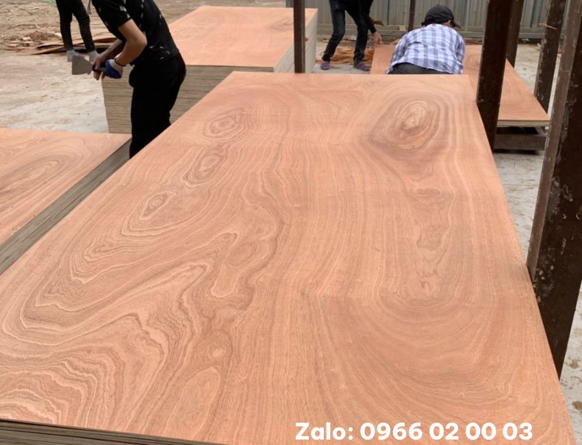 Ván ép Plywood mặt Bintangor 2- 40mm nhiều kích thước bảng giá ván ép nội thất 2023
