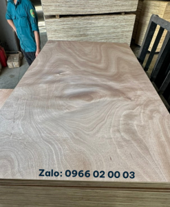 bảng giá ván ép bao bì